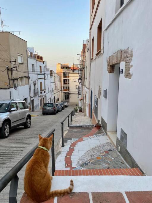 Townhouse - Casa Rustica Entre Mar Y Montana Villa Alcanar Exterior photo